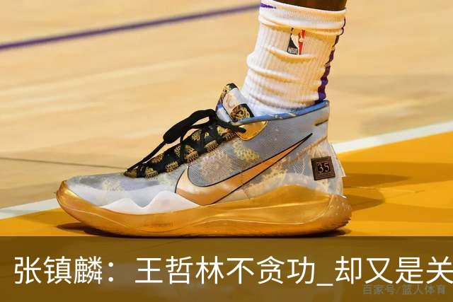 张镇麟：王哲林不贪功 却又是关键时刻能站出来的人 队长当之无愧