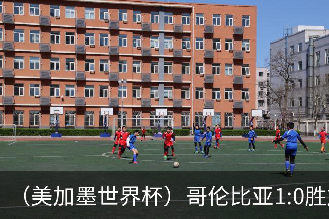 （美加墨世界杯）哥伦比亚1:0胜加纳 斩获16强最后一席